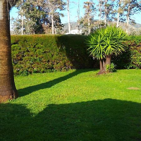 Villa Sotiroulla Kato Yialia Exteriör bild